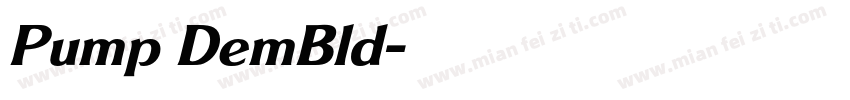 Pump DemBld字体转换